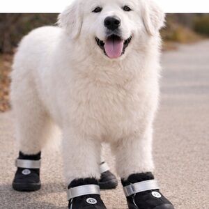Size XL On-Paw brand dog protective boots.